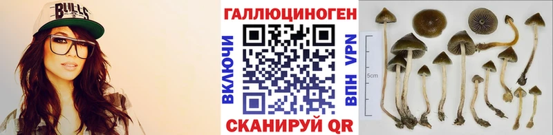 OMG вход Каневская Псилоцибиновые грибы MAGIC MUSHROOMS shop формула где продают наркотики