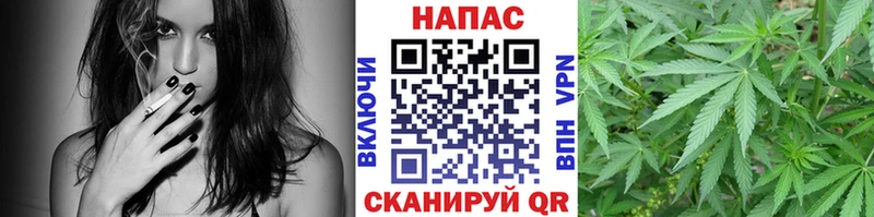 Бошки Шишки тримм  где купить наркоту  OMG   это телеграм  Каневская 